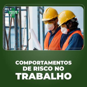 Comportamentos de Risco no Trabalho